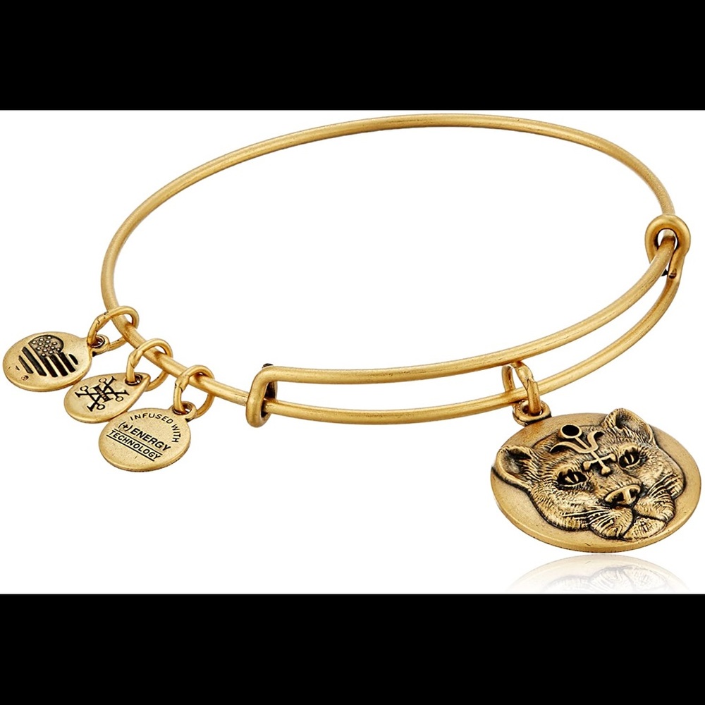 Alex and ani - wild heart